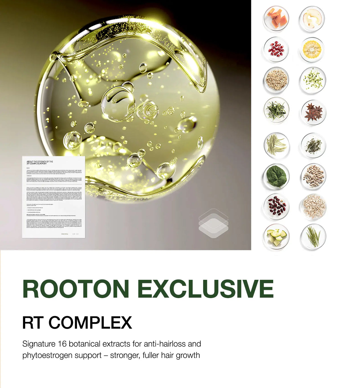 [ROOTON Official Store] Alpha Erguen Shampoo 16.9 Fl.Oz (500Ml) – Women Vegan Formula for anti Hair Loss, Scalp Balancing & Silky Nourishing Care with Clinically Proven Rt-Complex Formula